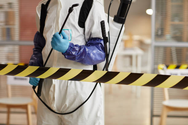 Professional Sewage Cleanup technician working in North Las Vegas, NV